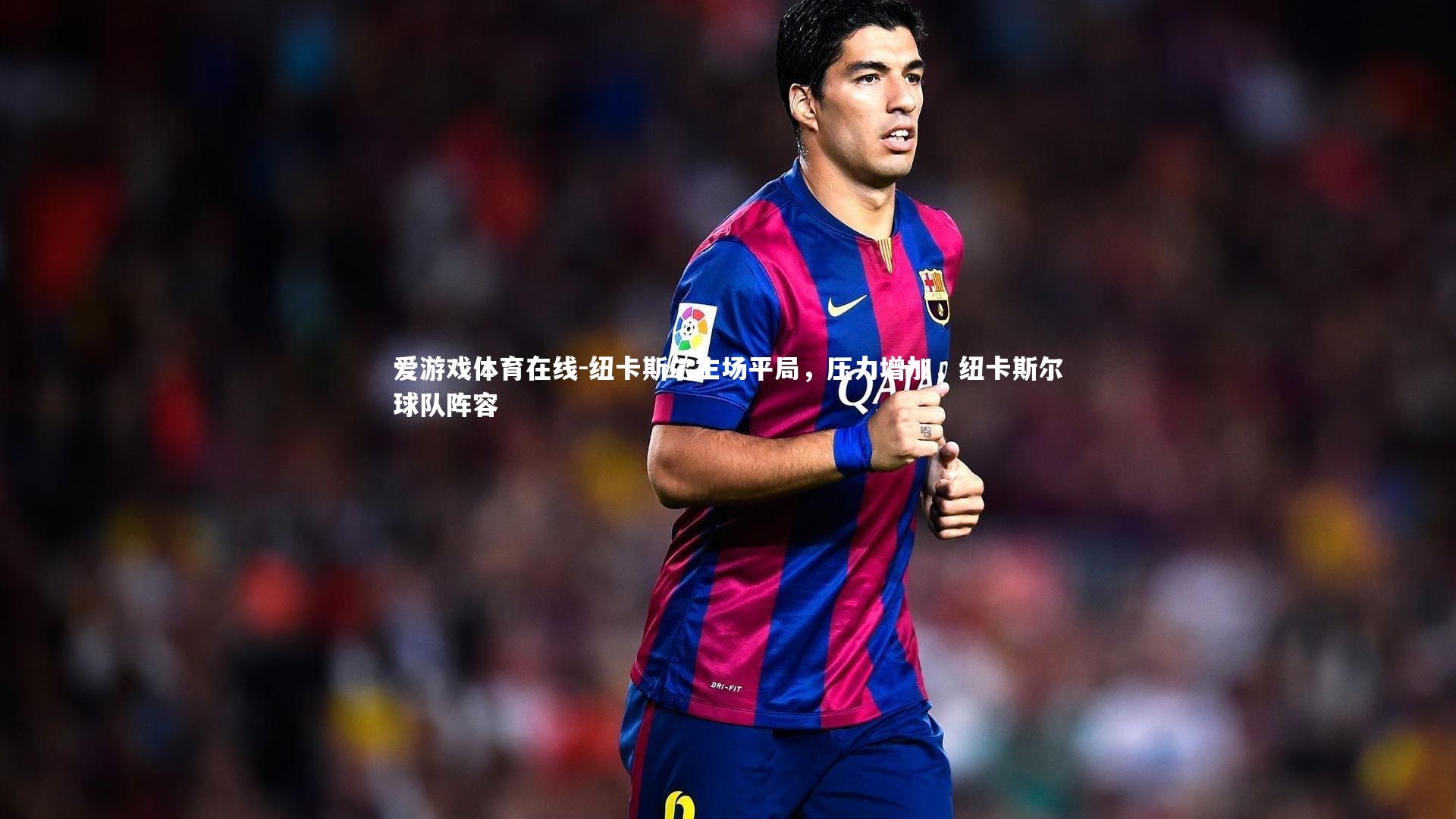 纽卡斯尔主场平局,压力增加,纽卡斯尔球队阵容