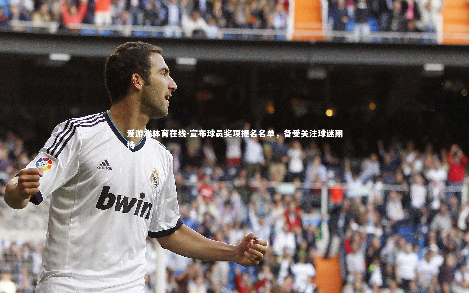 宣布球员奖项提名名单,备受关注球迷期待